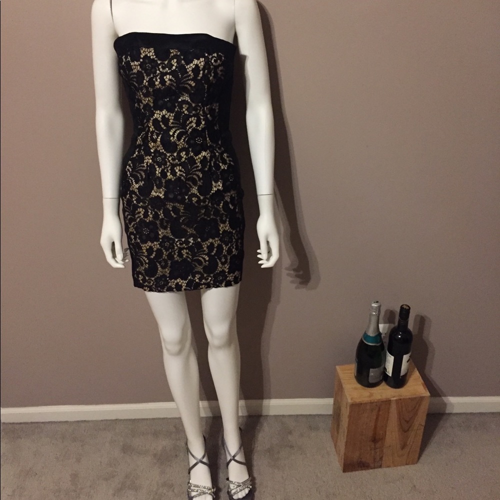 Cache Lace Panel Black & Nude Mini Dress Size 2